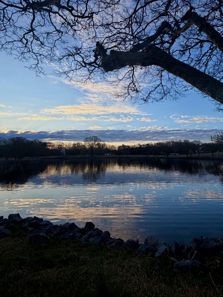 view from a bench at a memorial park, rocks and tree branch in foreground, lake an sunrise the main attraction